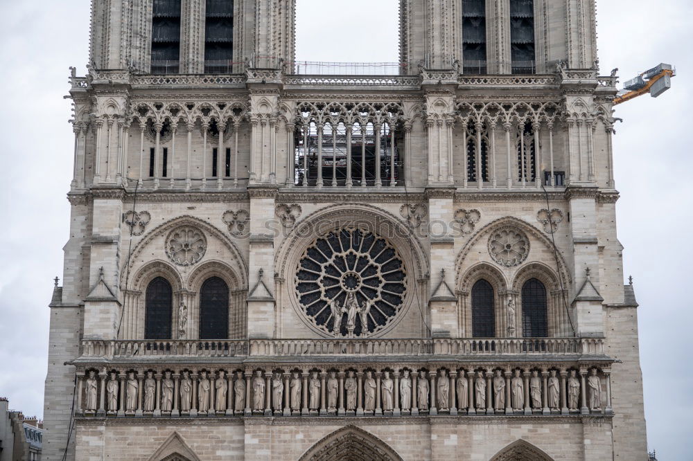 Similar – Notre-Dame de Paris