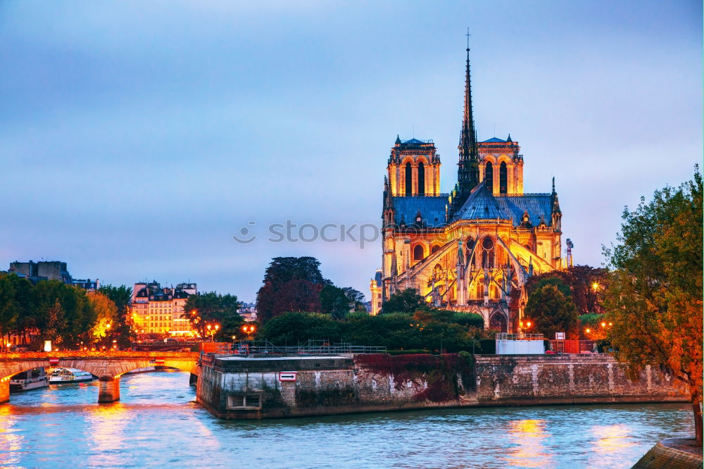 Our Lady Notre Dame