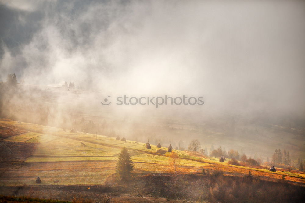 Similar – Image, Stock Photo Poland autumn hills. Sunny October day in mountain village