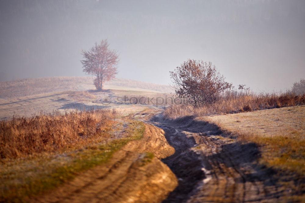 Similar – Muddy ground after rain in Carpathian mountains. Extreme path