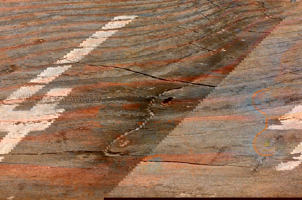 Similar – Image, Stock Photo patchwork Ship’s side