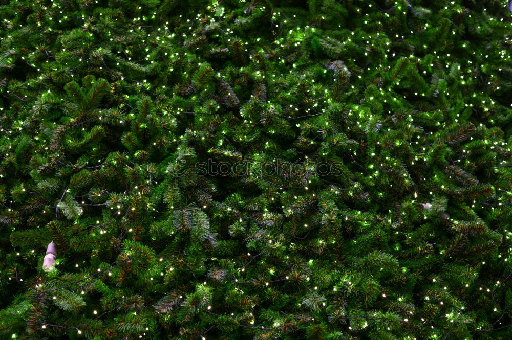 Image, Stock Photo green Nature Plant Algae