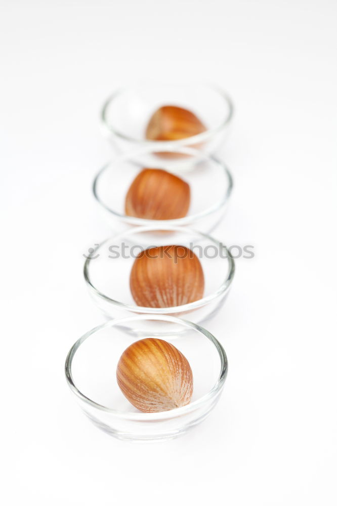 shell Eggshell Bowl Things