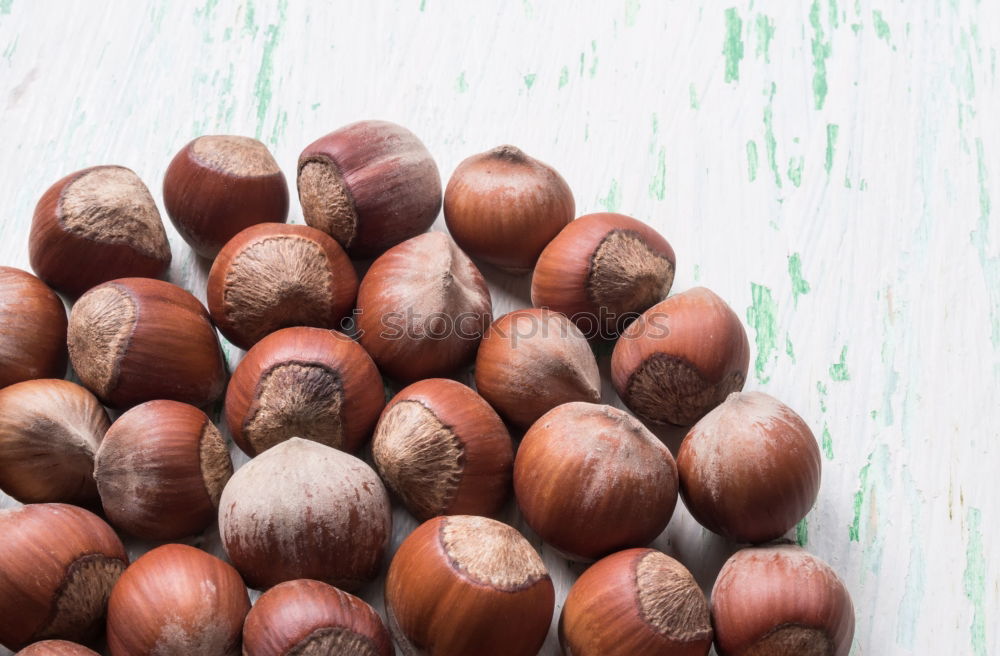 Similar – Image, Stock Photo halzelnut Food Fruit