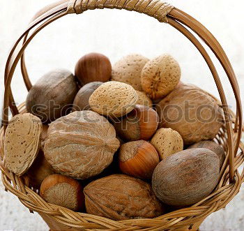 Similar – Image, Stock Photo Fresh nuts Food Fruit Nut