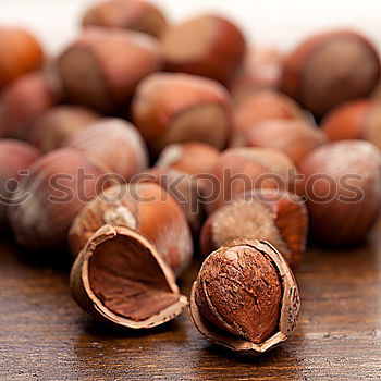 hazelnuts Hazelnut