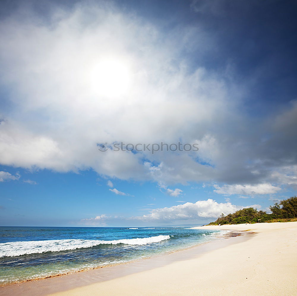 Similar – bondibeach Strand