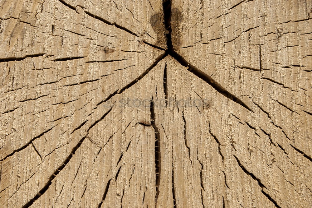 Similar – Foto Bild erdspalte Holz Eiche