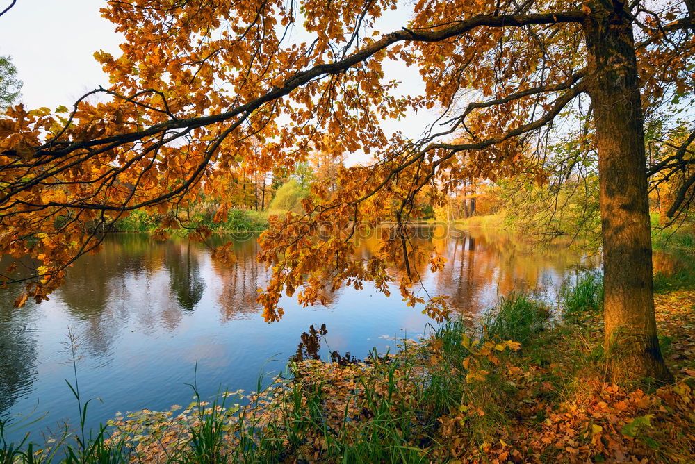 Similar – Image, Stock Photo Seven in the morning