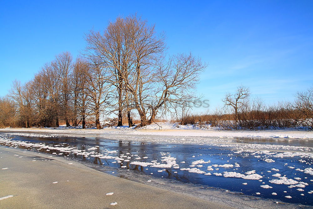 Similar – Image, Stock Photo winter sales Winter