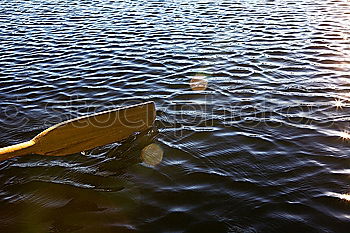 Similar – Image, Stock Photo paddles Nature Water