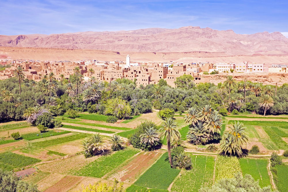 Similar – Image, Stock Photo Oasis Morocco I