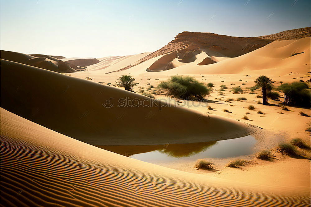 Similar – Palm tree in desert Desert