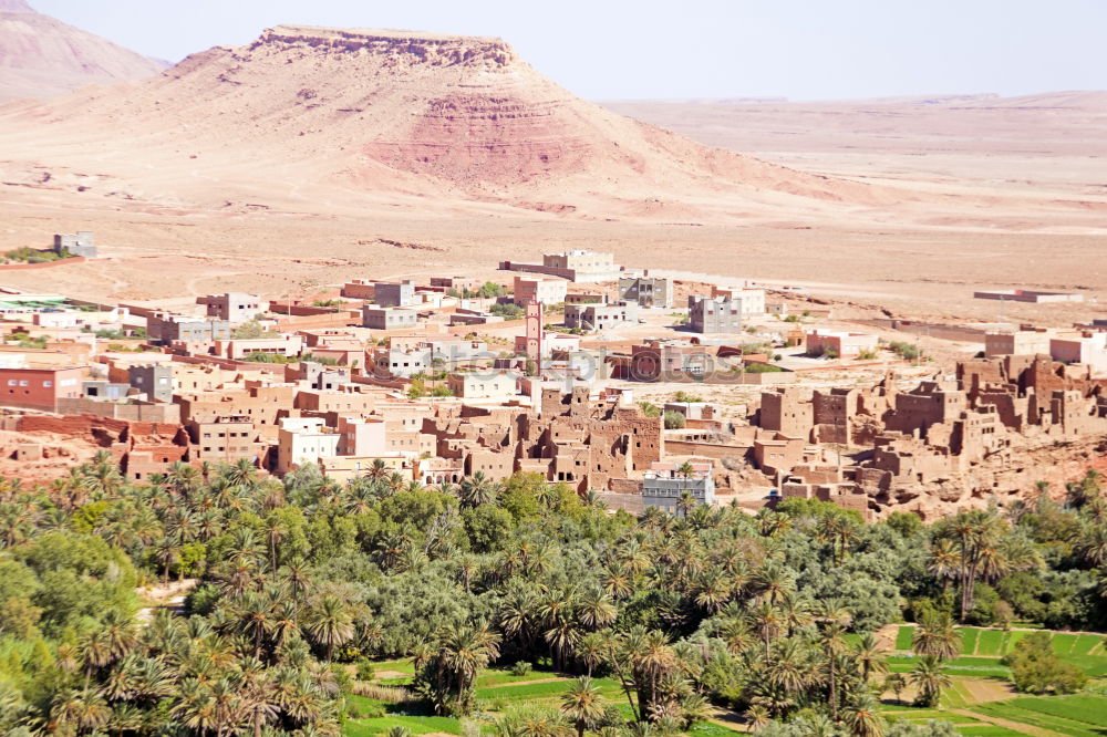 Image, Stock Photo Oasis Morocco I