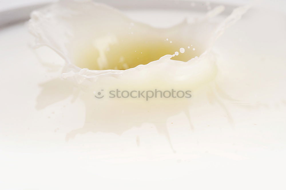 Similar – Image, Stock Photo tulipe #3 Tulip Flower