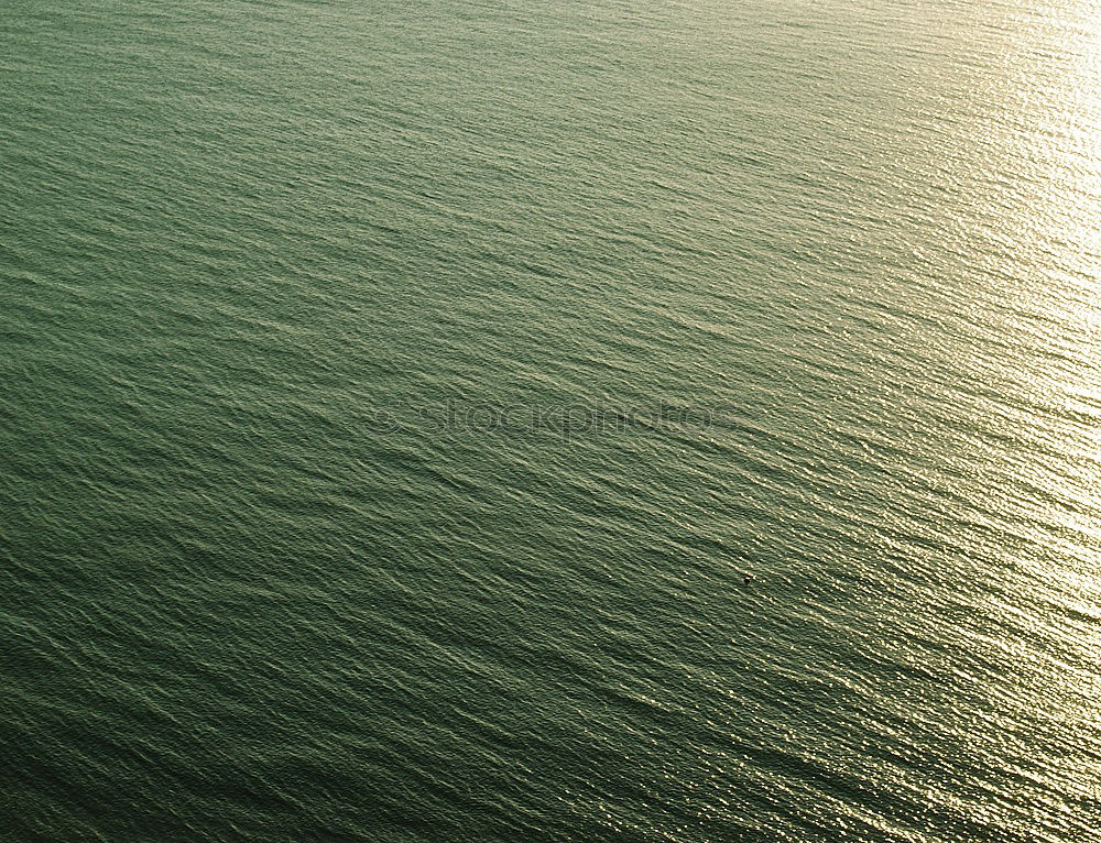 Similar – Image, Stock Photo In gliding flight a seagull flies in the upwind over the Pacific.  It can be seen alone in the picture. On the lower right. Otherwise only water is visible.