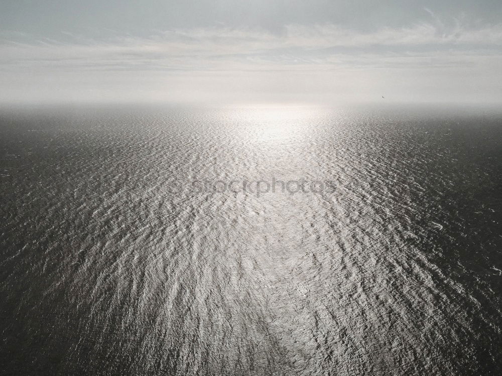 Similar – Image, Stock Photo In gliding flight a seagull flies in the upwind over the Pacific.  It can be seen alone in the picture. On the lower right. Otherwise only water is visible.