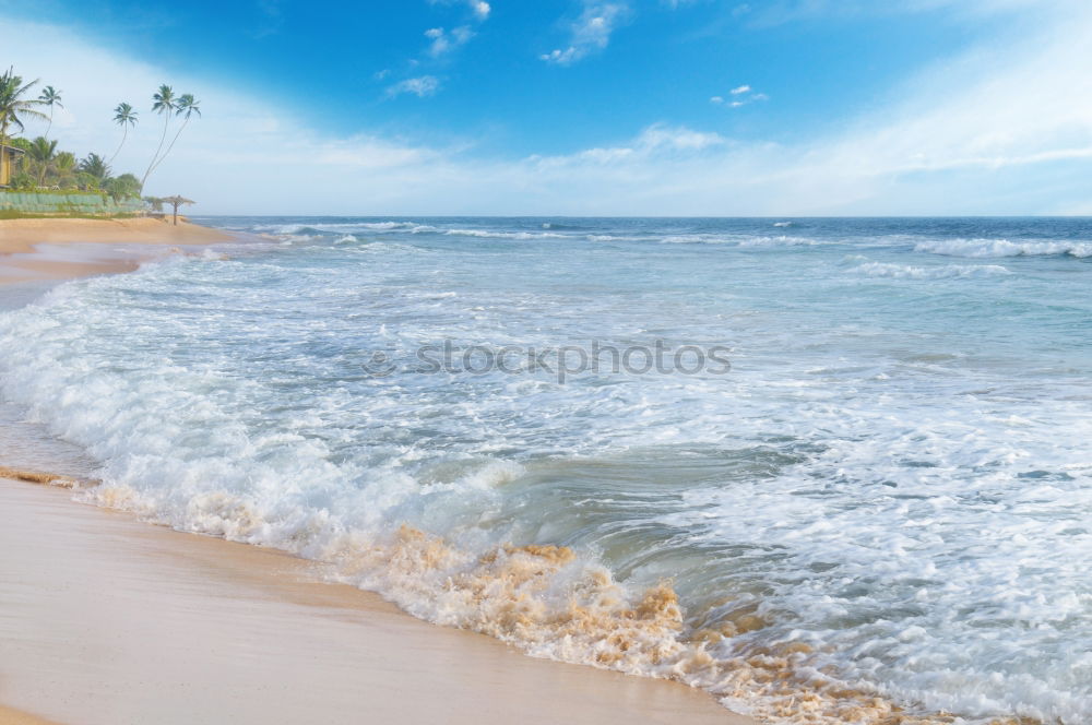 Similar – Image, Stock Photo Sri Lanka, Rathgama