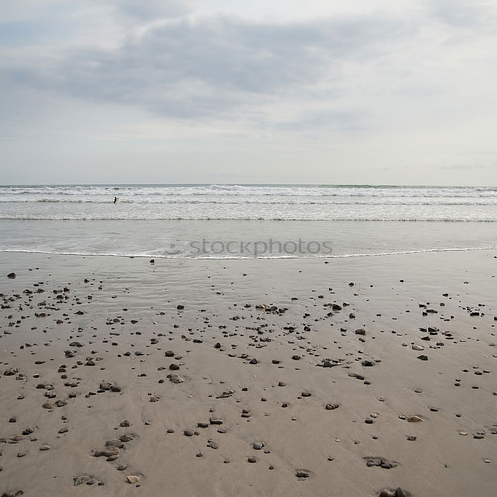 Similar – Beach walk at low tide