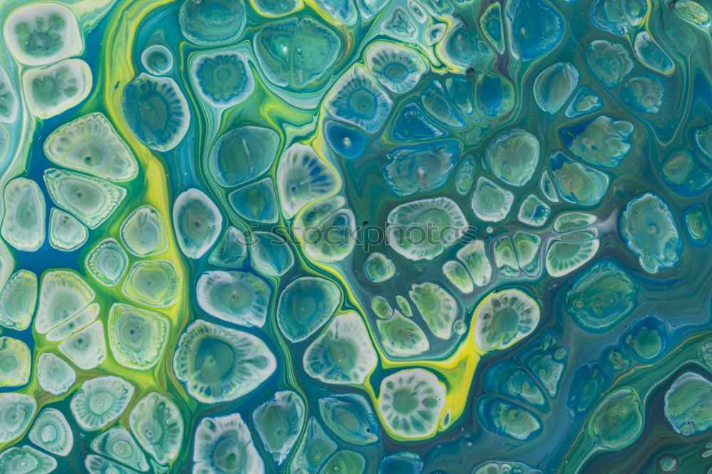 Similar – Image, Stock Photo Abstract flow of liquid paints in mix