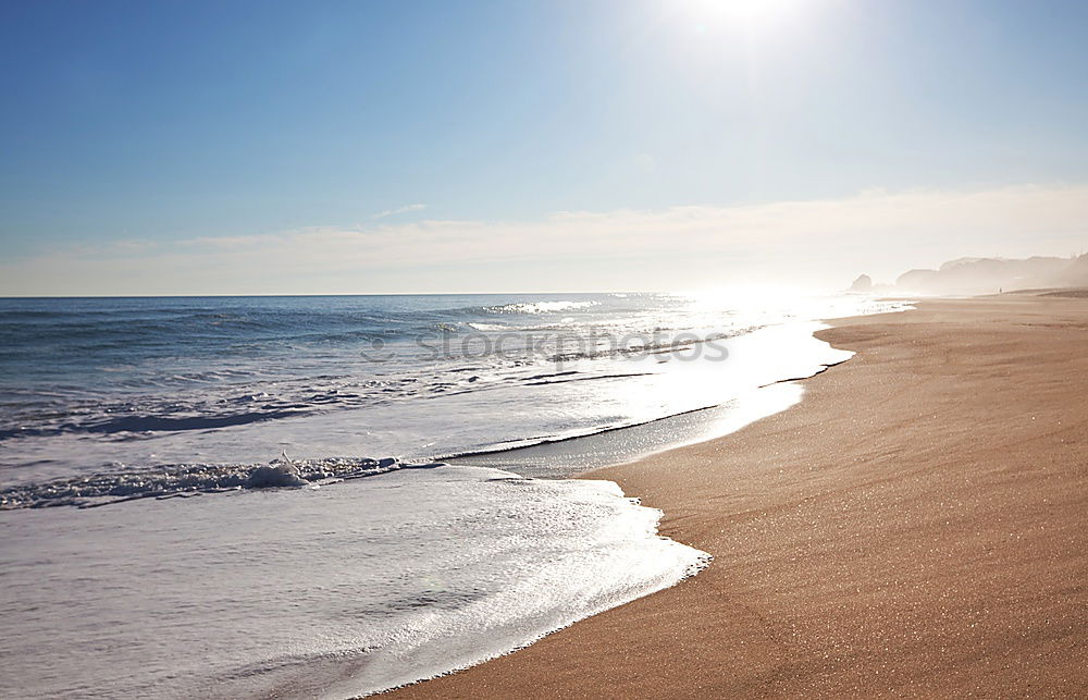 Similar – Image, Stock Photo sunbathe Lifestyle