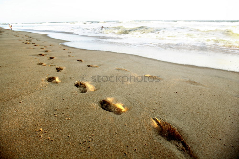 Similar – Image, Stock Photo tv Boy (child) Nature