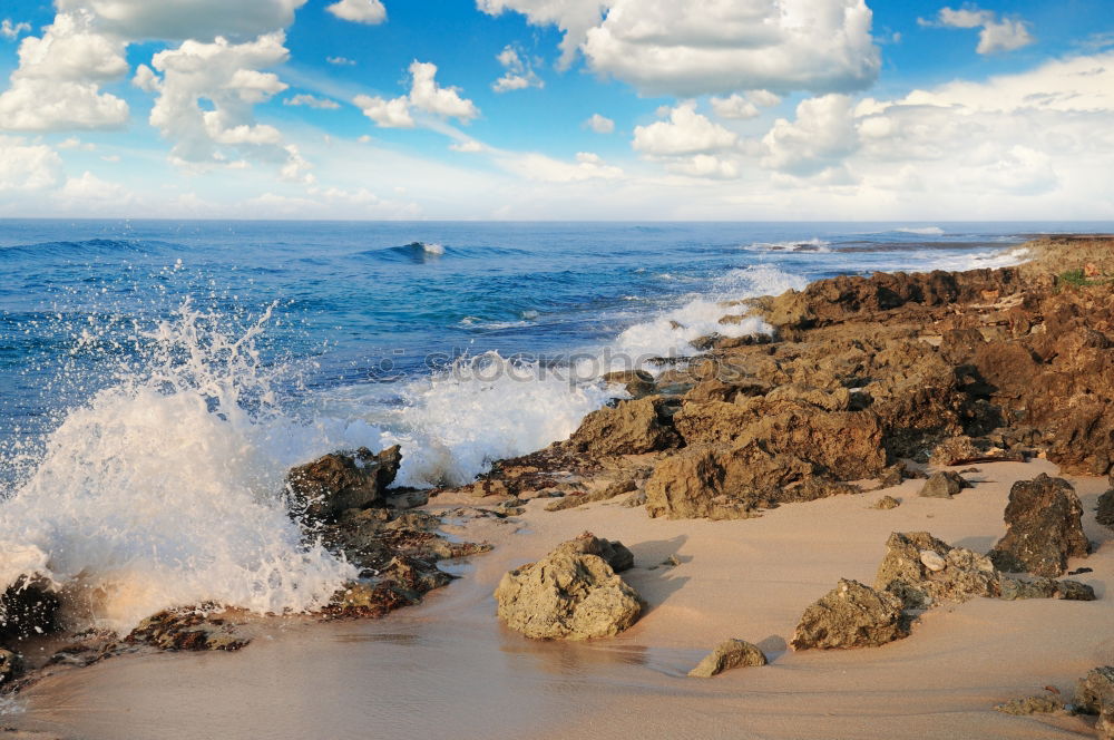 Similar – Image, Stock Photo puny /tree remains on a dune. Down the high sandy beach there are some smaller stones in front of the foaming light surf.