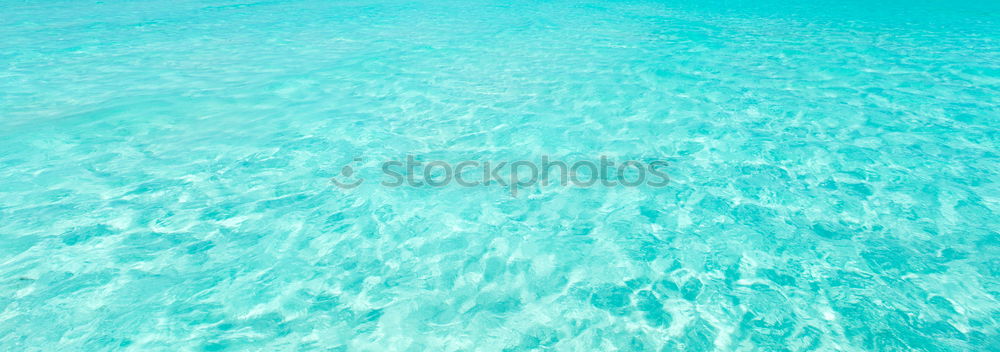 Similar – Image, Stock Photo Clear Indian Ocean underwater