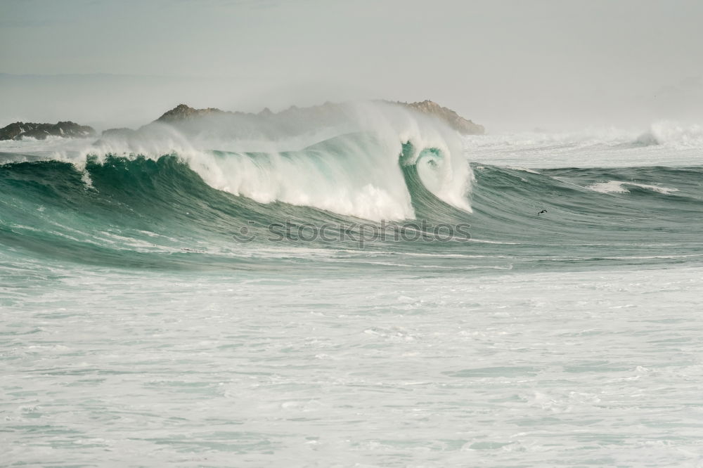 Similar – reef brake Tourism