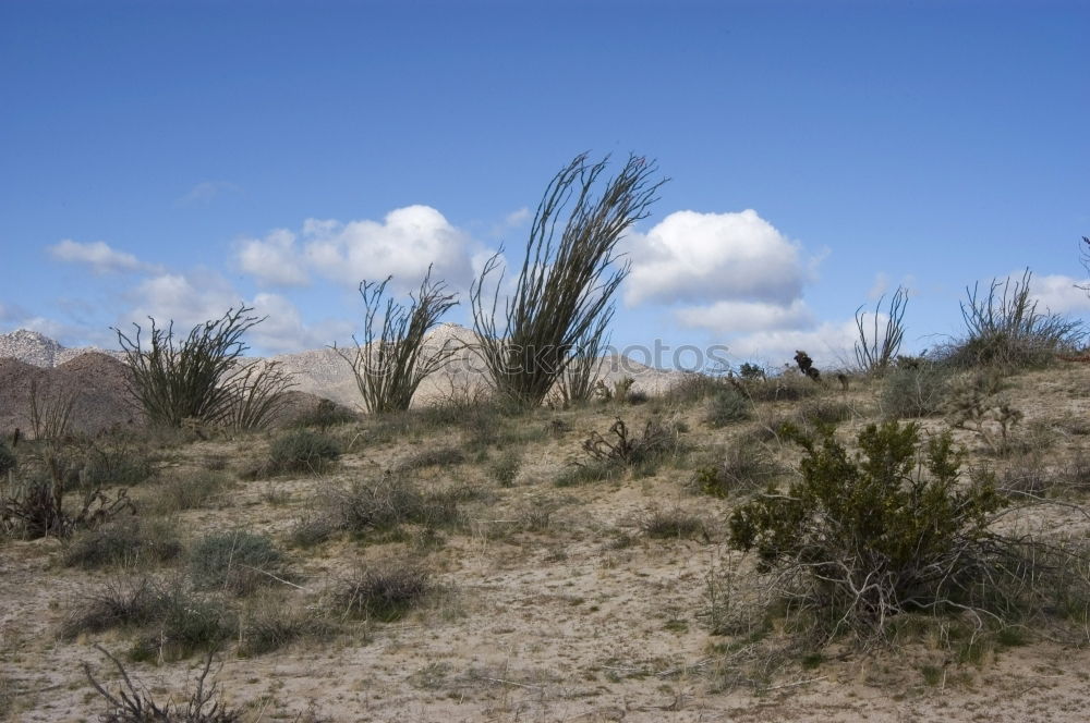 Similar – Image, Stock Photo Wind turbine park.