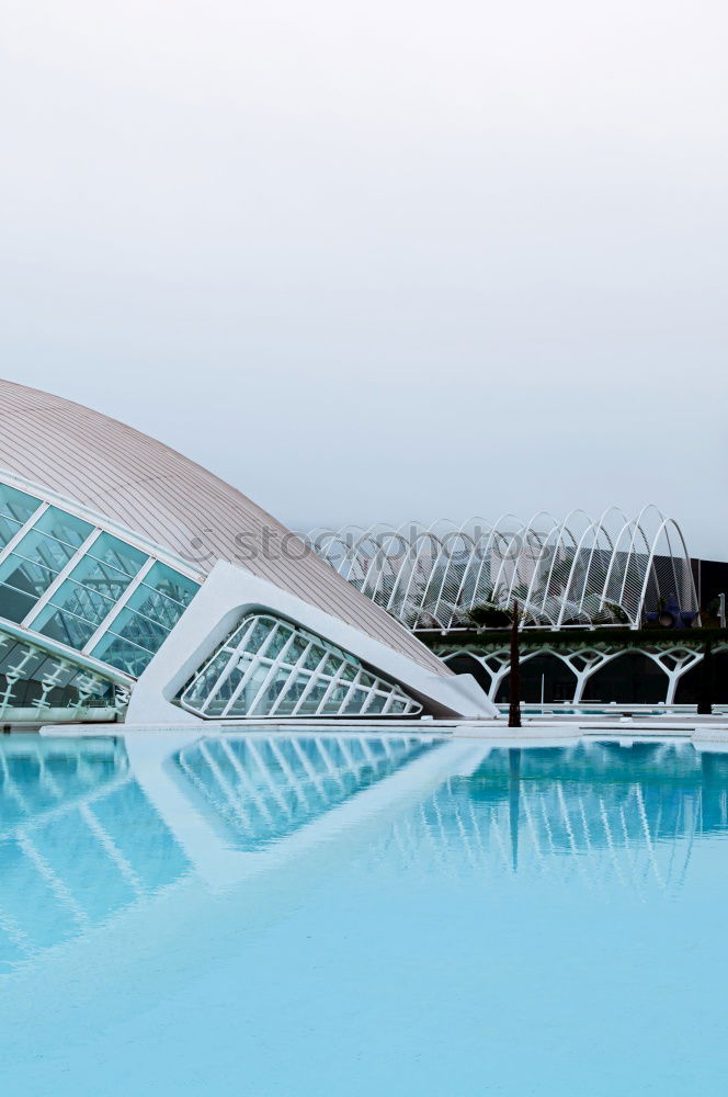 Similar – Image, Stock Photo bathing day Swimming pool