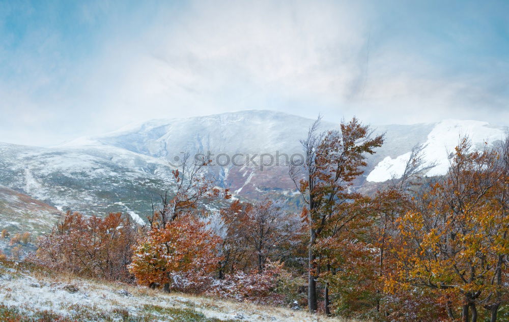 Similar – Image, Stock Photo Rondane V Trip Adventure