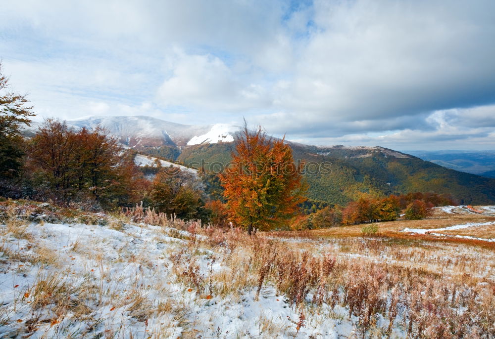 Similar – Image, Stock Photo Lone tree in autumn mountains