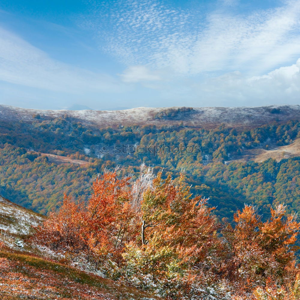 Similar – Image, Stock Photo Lone tree in autumn mountains