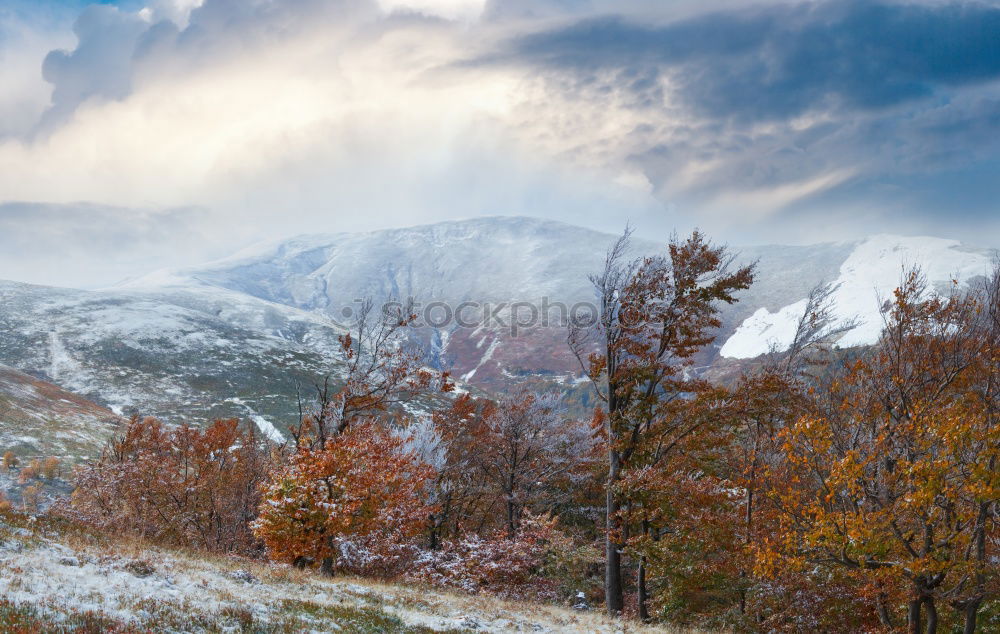 Similar – Image, Stock Photo Autumn forest and snowy mountains