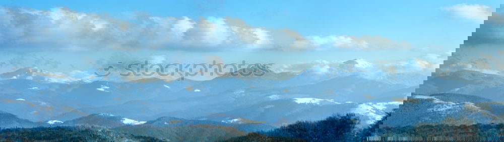 Similar – Image, Stock Photo frostbitten Winter