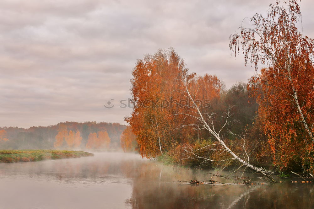 Similar – Image, Stock Photo Colorful riverside