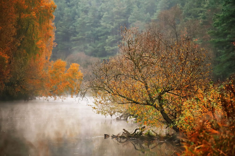 Similar – da ruht der See Umwelt