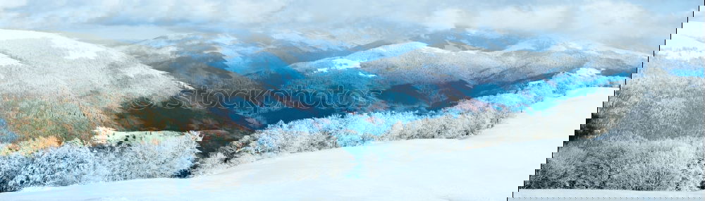 Similar – Foto Bild Schneefell Winter Halm