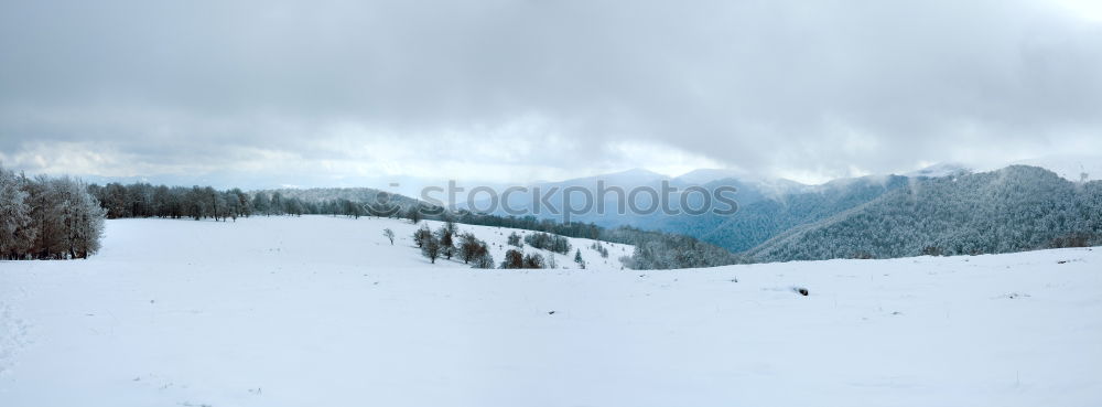 Similar – Image, Stock Photo Sunbathing in the snow