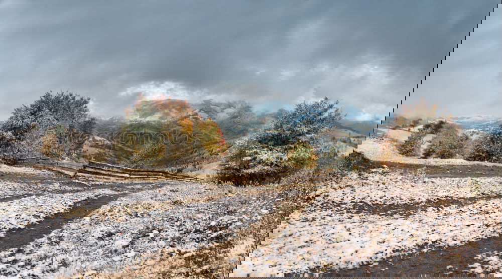 Similar – Image, Stock Photo Iceland Environment Nature