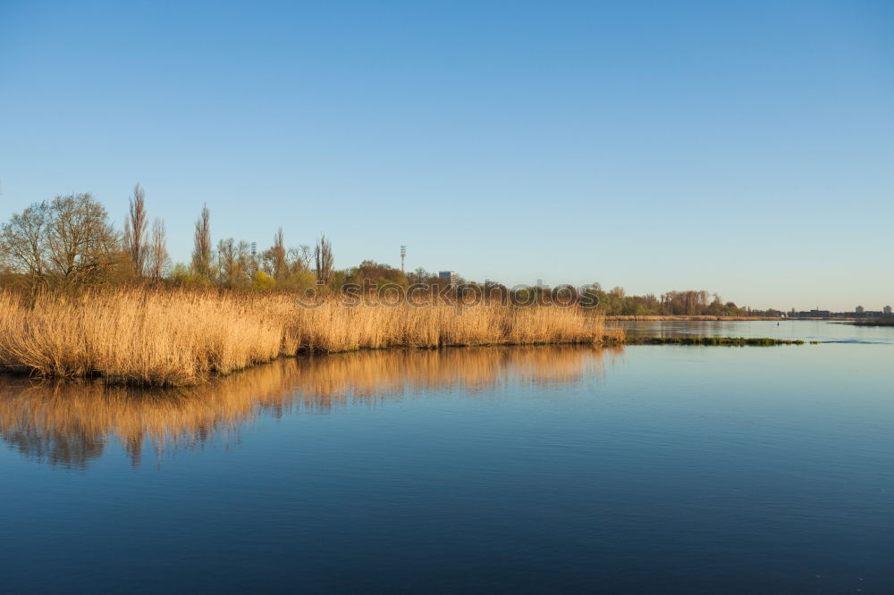 Similar – Tranquil, calm Rhine river scene with arched bridge