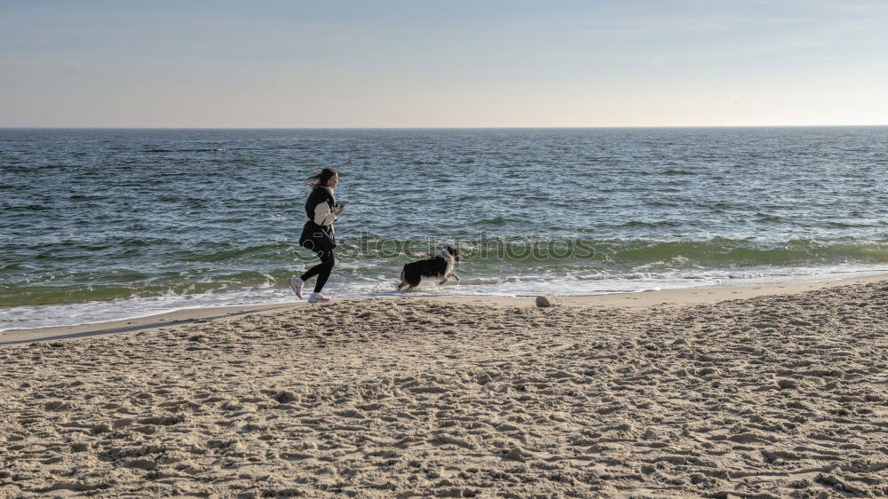 Image, Stock Photo Woman plays ball throwing with blond Labrador at Baltic Sea beach