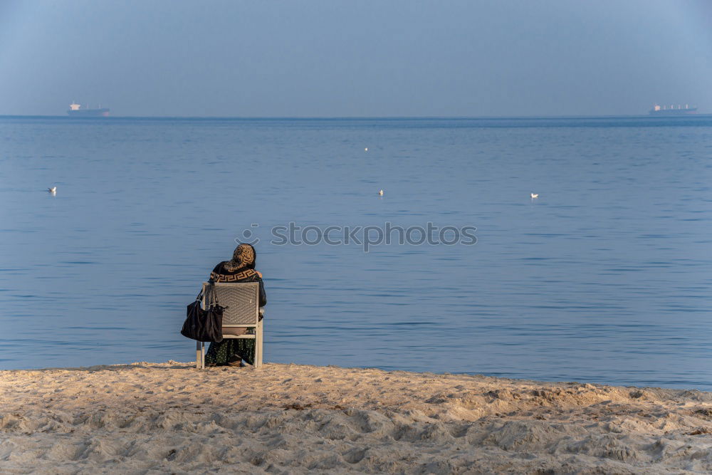 Similar – Polish seagulls Seagull