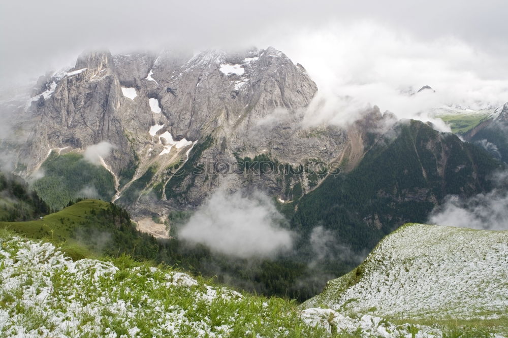 Similar – There’s a cow in front of the mountain.