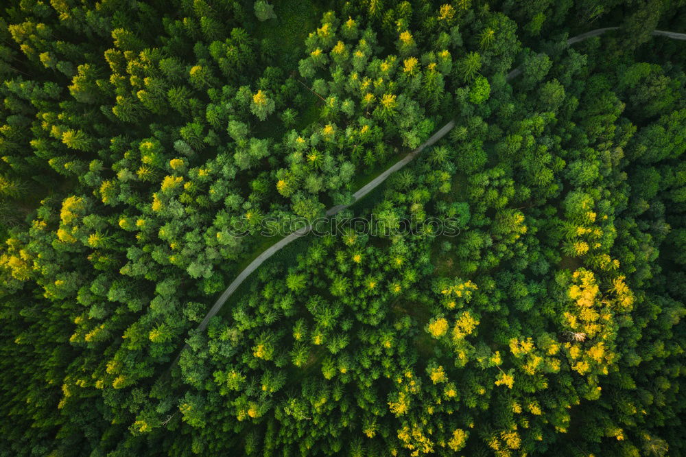 Similar – Eine kurvenreiche Straße von oben, die durch einen grünen Wald führt. Drohne Schuss für Tapeten, von oben nach unten von oben Luftaufnahme im Spätsommer.