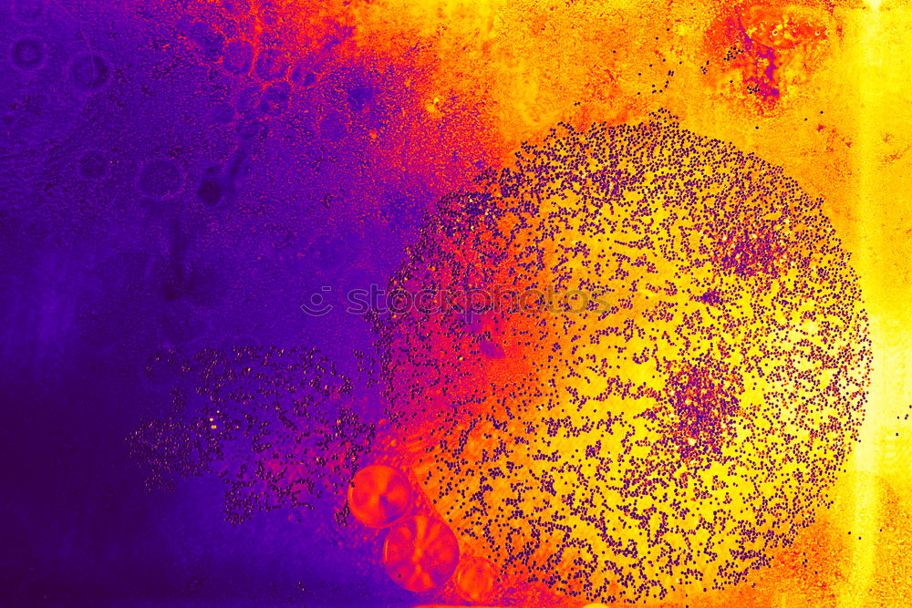 Similar – microscopic galactose crystals