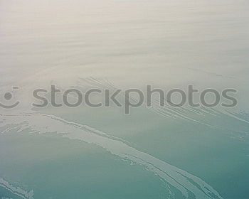 Similar – shark Beach Ocean Maldives