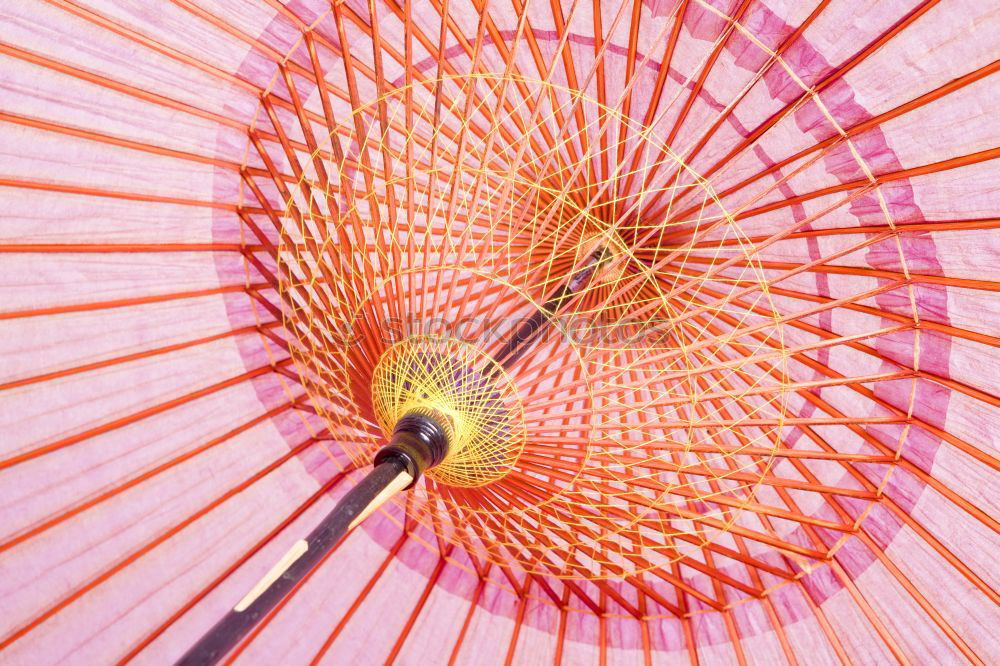 Similar – Image, Stock Photo Three red dried skeleton leaves in corner on pink paper