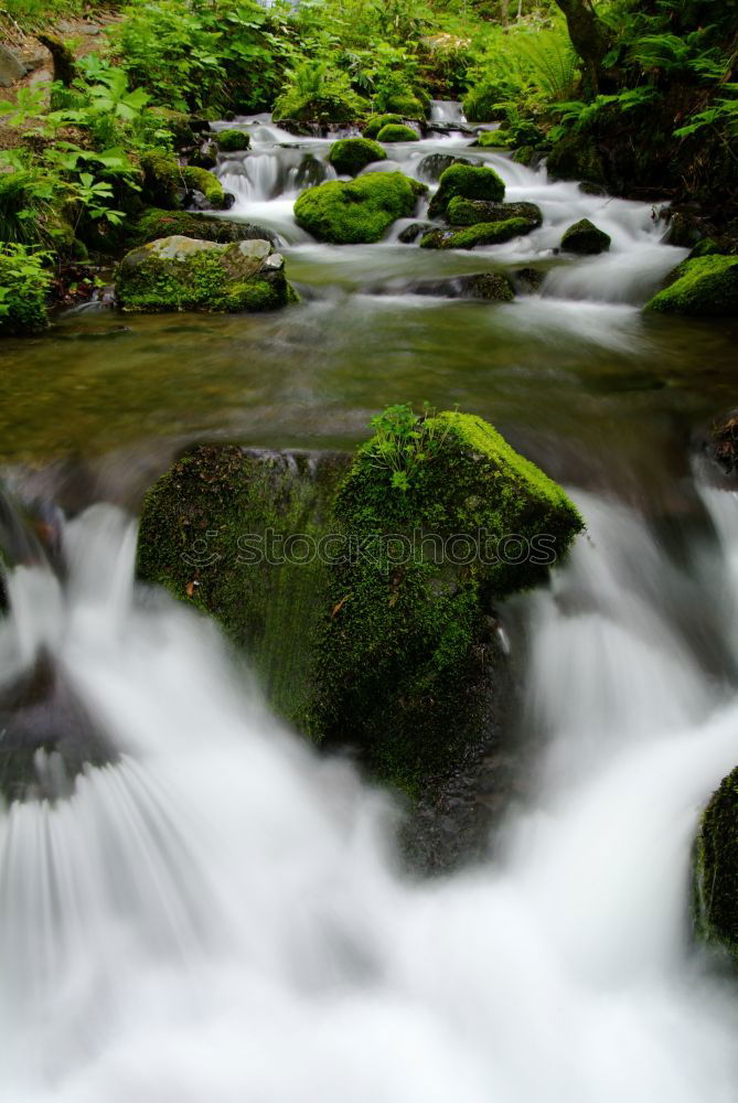 Image, Stock Photo Small cascade flowing in the forest